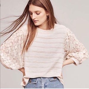 Anthropology Eri and Ali Chelsea